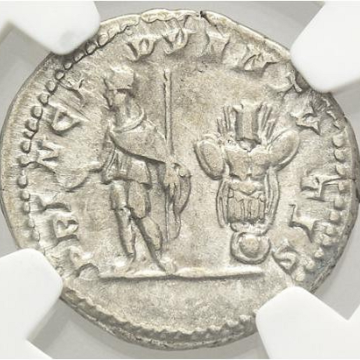 【少年皇帝の“プリンケプス”】ゲタ・カエサル デナリウス銀貨〈NGC AU〉— PRINC & IVVENTVTIS タイプ