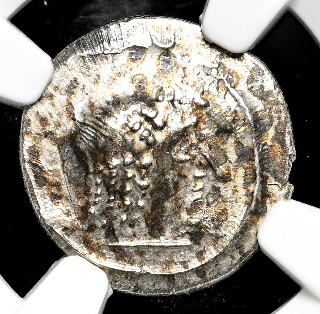 【“香料ロードの銀面”】アラビア・フェリクス ヒムヤル王国 ドラクマ銀貨〈NGC Ch XF〉— 王冠肖像 & 聖牛ブクラニオン