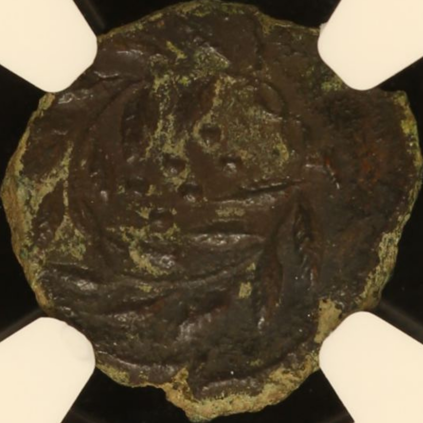 【“滅びゆくヒメラの翠影”】ヒメラ ヘミリトロン銅貨〈NGC AU〉— ニンフ胸像 & 月桂冠の六点図