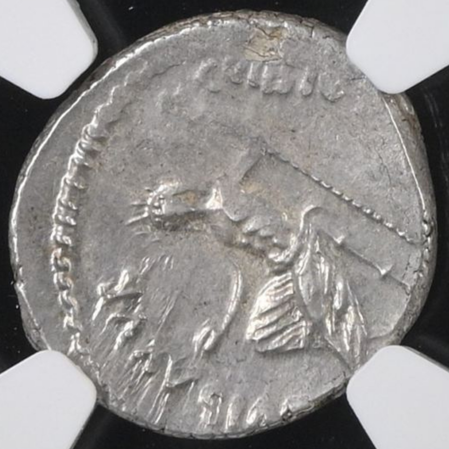 【“牧神の仮面と海岬の神”】C.ビビウス・パンサ デナリウス銀貨〈NGC AU〉— パン仮面 & ジュピテル・アクスルス座像