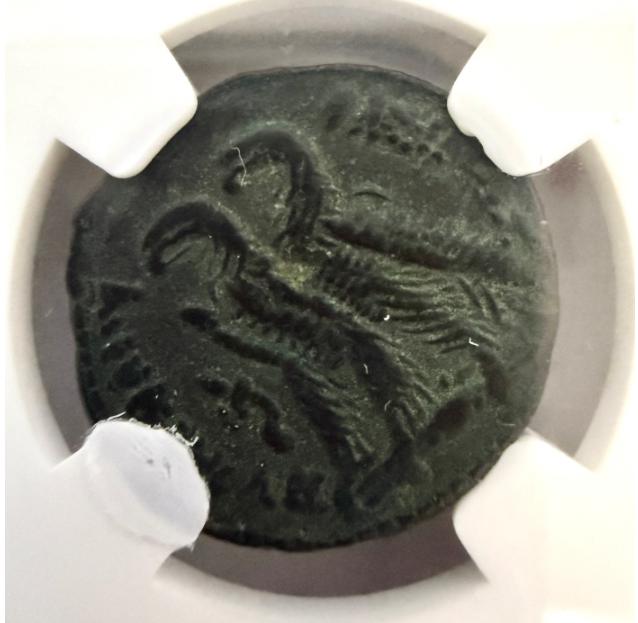 プトレマイオス朝 プトレマイオス9世 青銅貨〈NGC Ch VF〉