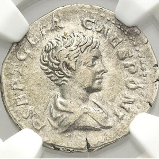 【少年皇帝の“プリンケプス”】ゲタ・カエサル デナリウス銀貨〈NGC AU〉— PRINC & IVVENTVTIS タイプ