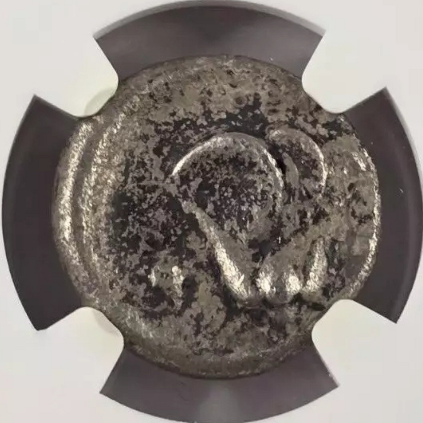 【“エーゲ海に咲く太陽の薔薇”】ロドス島 ディドラクマ銀貨〈NGC VF〉— 正面ヘリオス & 開花ローズ図