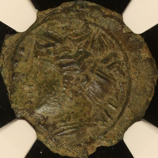 【“滅びゆくヒメラの翠影”】ヒメラ ヘミリトロン銅貨〈NGC AU〉— ニンフ胸像 & 月桂冠の六点図