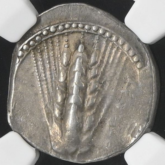 【“南イタリアの銀麦穂”】メタポンティオン スターテル銀貨〈NGC Ch VF〉— バーレイイヤー & インクーズ鏡影